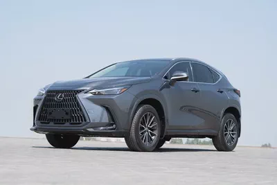 Lexus NX 300 Platinum 2024 - American Specs - Pristine Condition-0