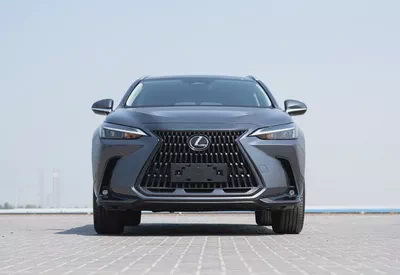 Lexus NX 300 Platinum 2024 - American Specs - Pristine Condition-2
