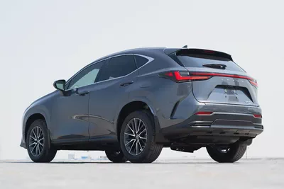 Lexus NX 300 Platinum 2024 - American Specs - Pristine Condition-4