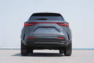Lexus NX 300 Platinum 2024 - American Specs - Pristine Condition-5