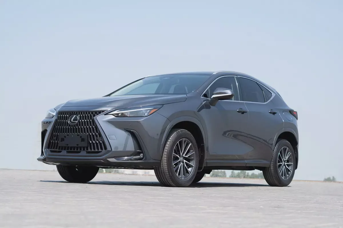 Lexus NX 300 Platinum 2024 - American Specs - Pristine Condition