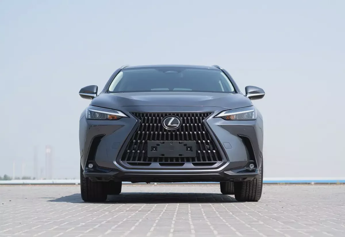 Lexus NX 300 Platinum 2024 - American Specs - Pristine Condition-2-2