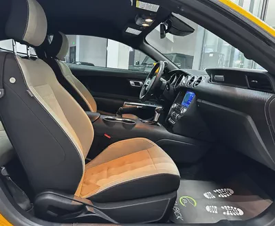 [FORD MUSTANG ECOBOOST 2.3L i4 TURBO]-10