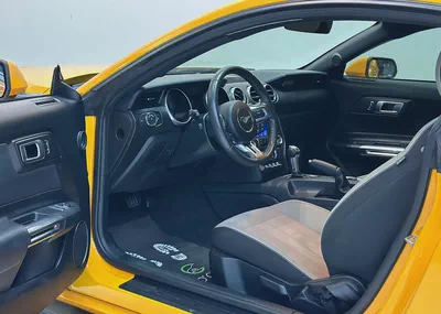 [FORD MUSTANG ECOBOOST 2.3L i4 TURBO]-7