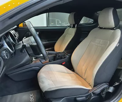 [FORD MUSTANG ECOBOOST 2.3L i4 TURBO]-8