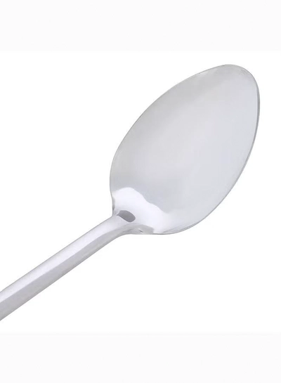 Delcasa Stainless Steel Serving Spoon, PP Handle, DC1934-4