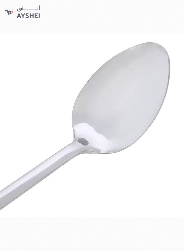 Delcasa Stainless Steel Serving Spoon, PP Handle, DC1934