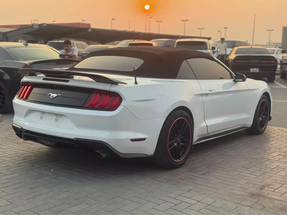 Ford Mustang Ecoboost 2020 American Specs-4-4