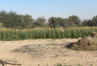FARM FOR SALE IN AL AJBAN-0