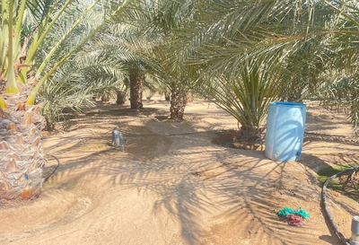 FARM FOR SALE IN AL AJBAN-1