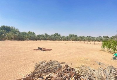 FARM FOR SALE IN AL AJBAN-5