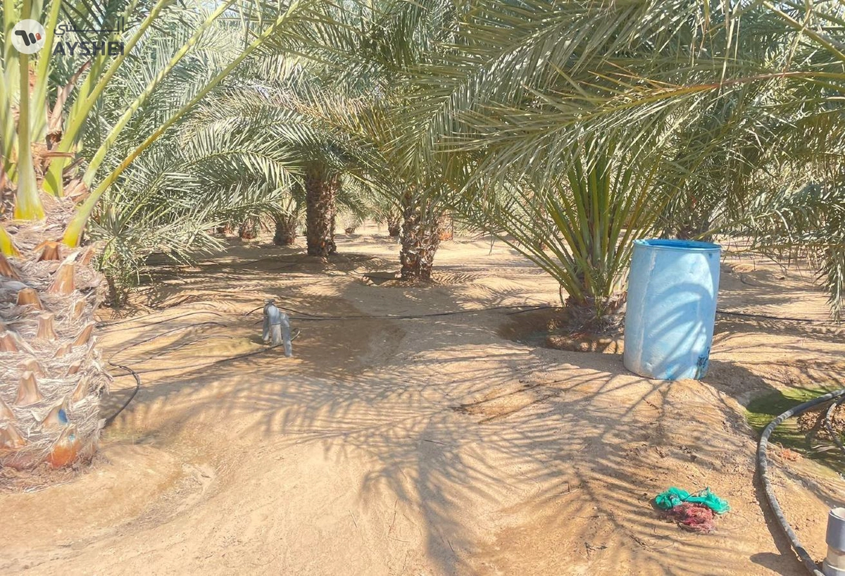 FARM FOR SALE IN AL AJBAN-1-1