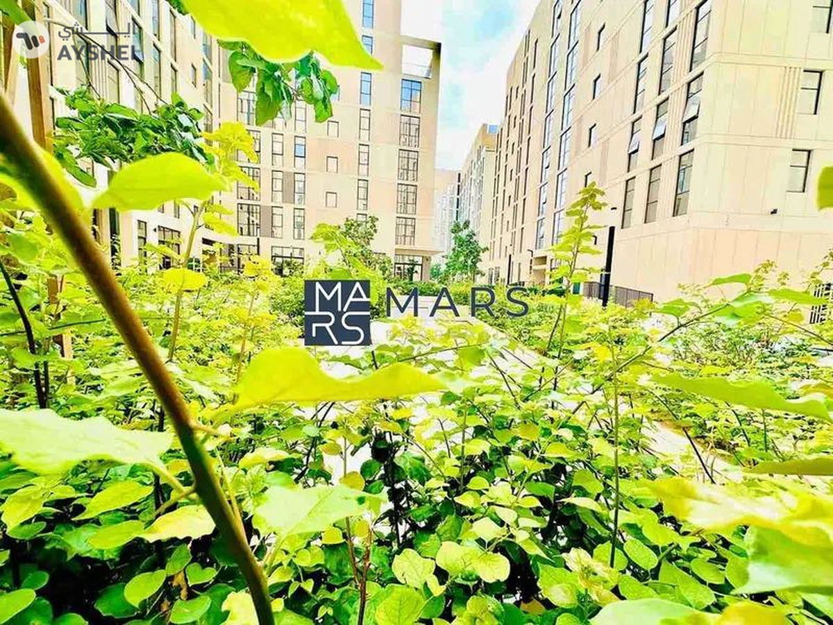 The Most Luxurious And Spacious 2BR Apartment Available For Rent-1-1