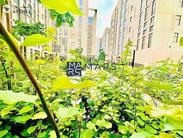 The Most Luxurious And Spacious 2BR Apartment Available For Rent