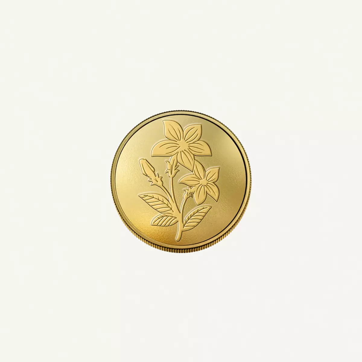 Emirates Minting 2g Gold Coin-1-1