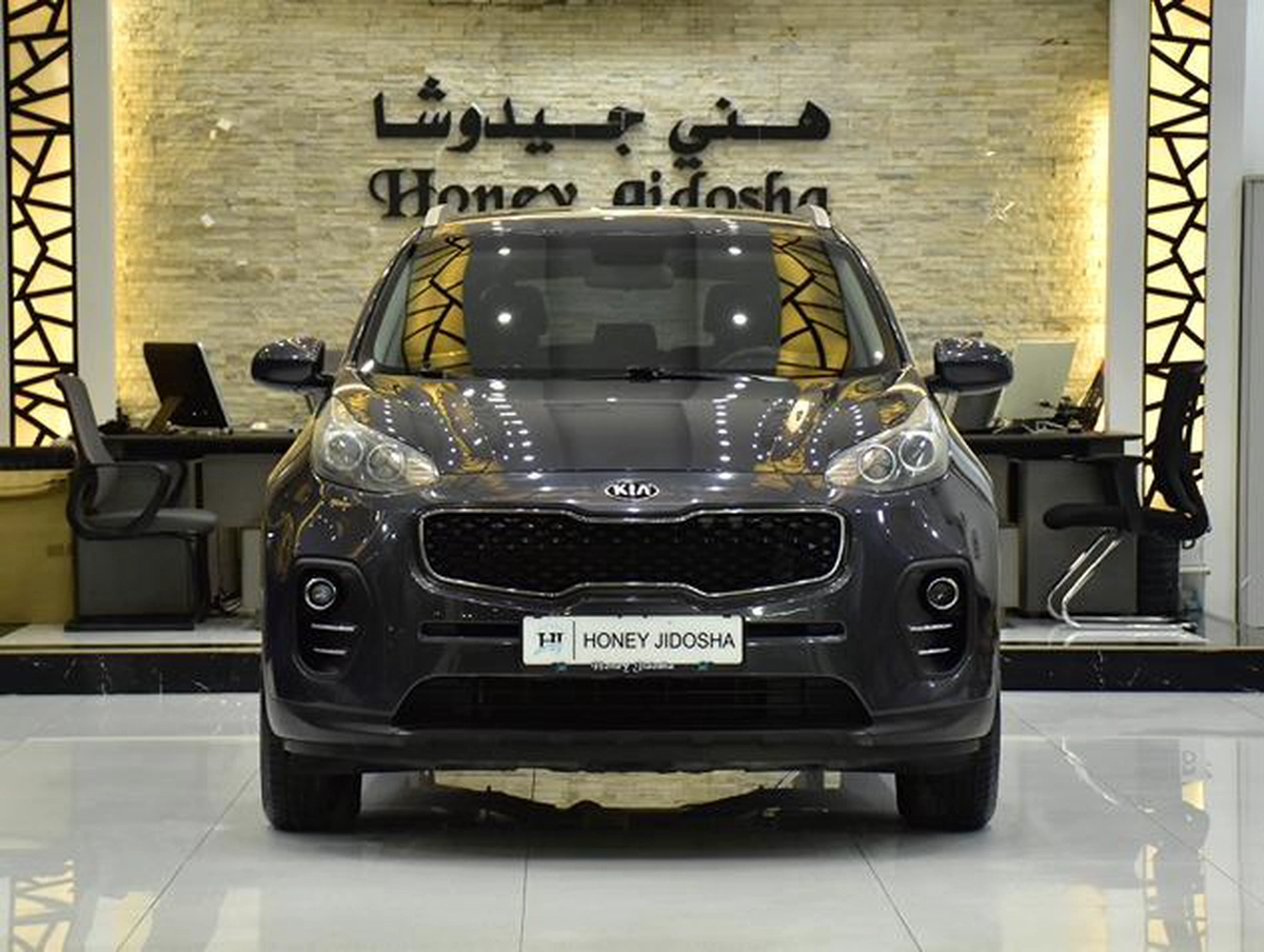 KIA Sportage ( 2017 Model ) in Grey Color GCC Specs