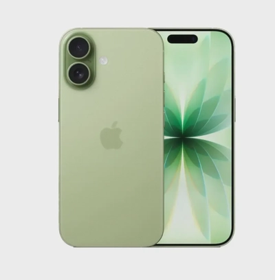 Apple iPhone 17 256GB Sage 5G (eSim only) With FaceTime - International Version-0