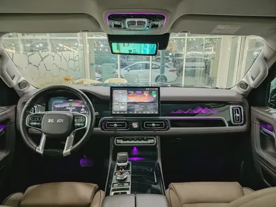 Baic Bj 60 2023-17