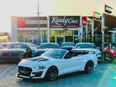 2022 Ford Mustang Ecoboost Convertible-0