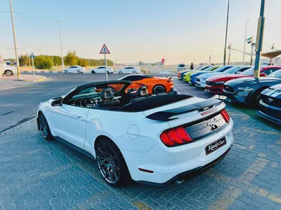 2022 Ford Mustang Ecoboost Convertible-10