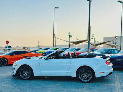 2022 Ford Mustang Ecoboost Convertible-5