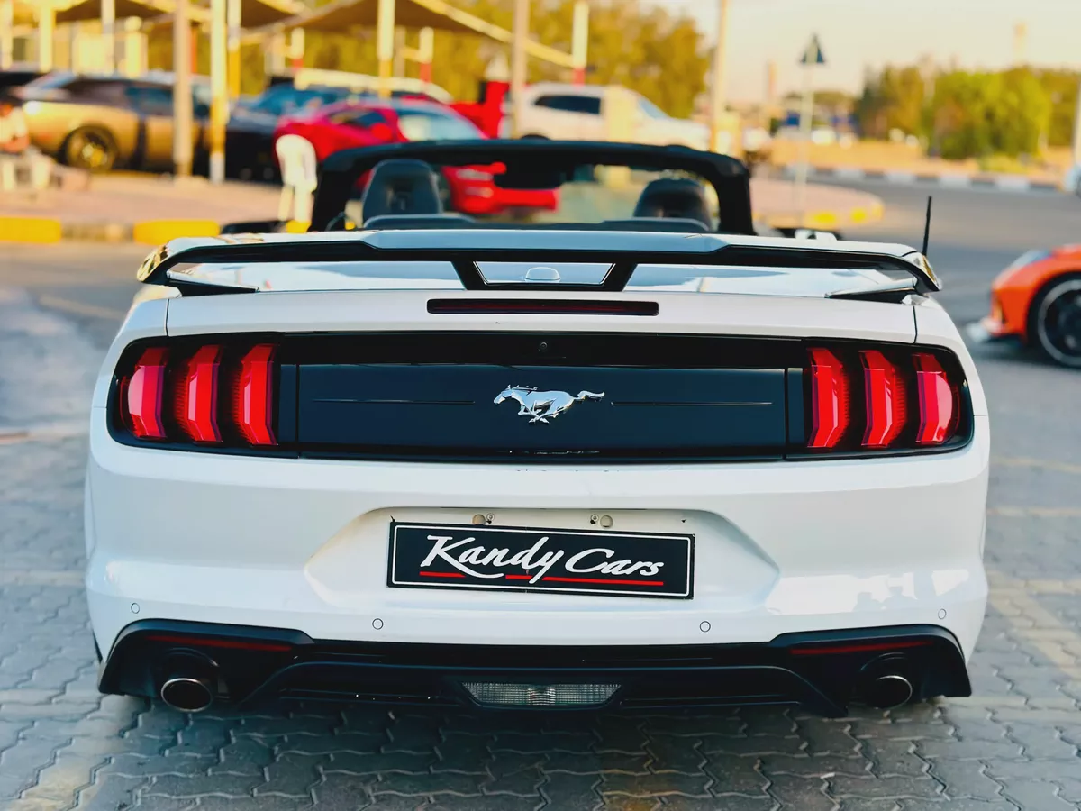 2022 Ford Mustang Ecoboost Convertible-1-1