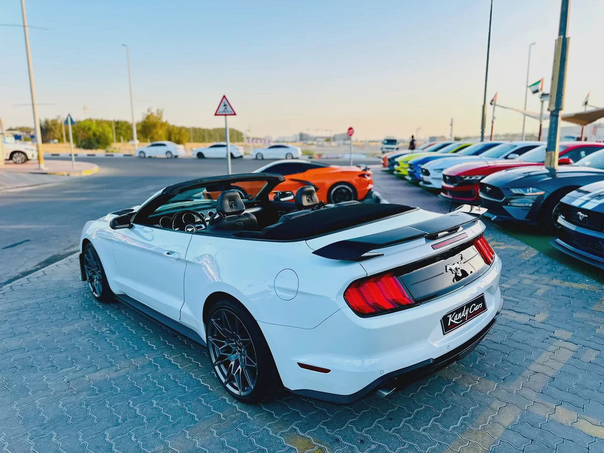 2022 Ford Mustang Ecoboost Convertible-10-10