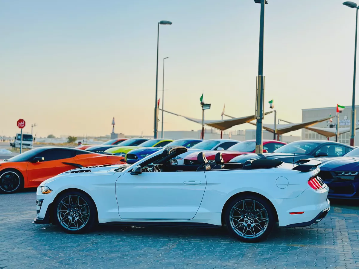 2022 Ford Mustang Ecoboost Convertible-5-5