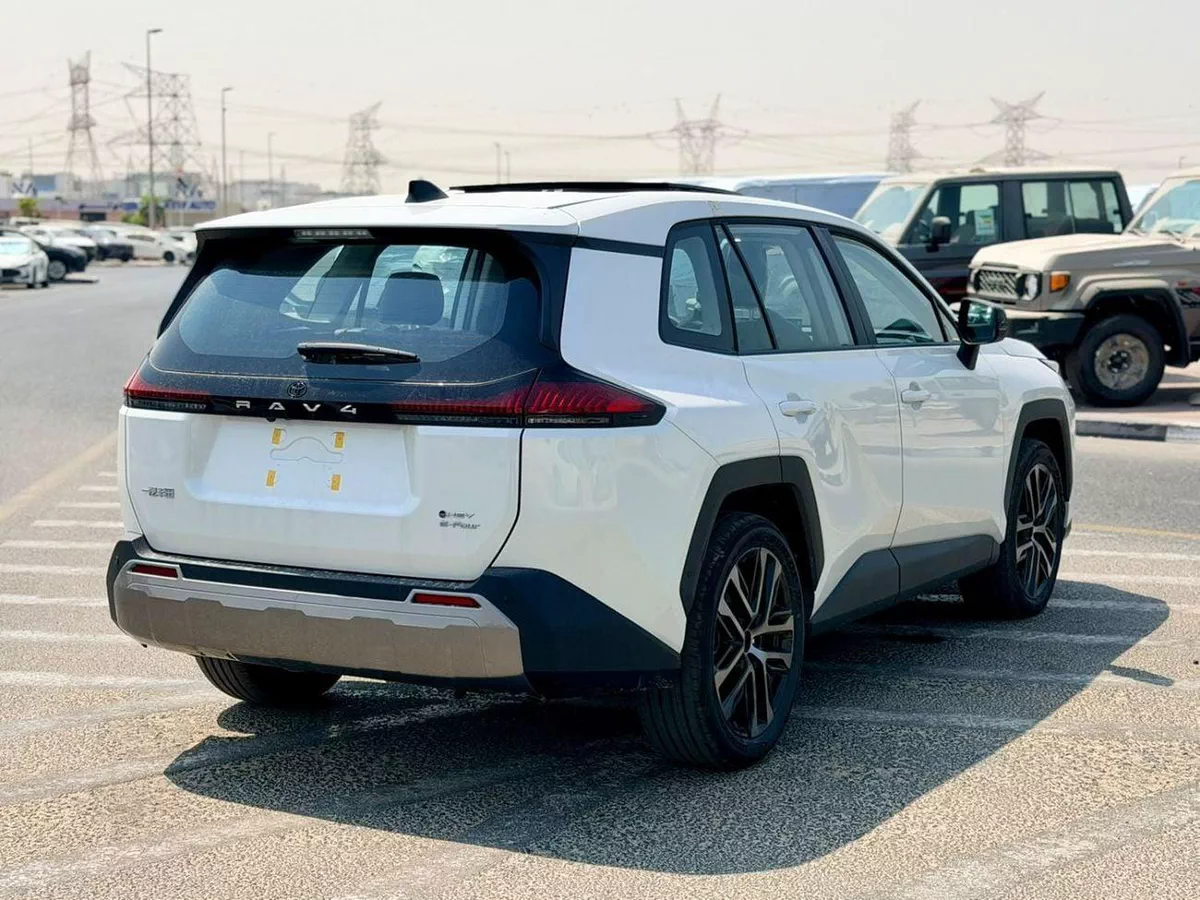Toyota RAV4 VXR HEV-6-0