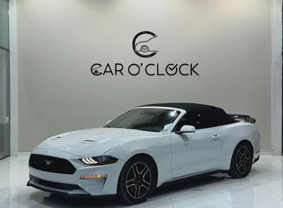 [FORD MUSTANG ECOBOOST 2.3L i4 CONVERTIBLE]-0