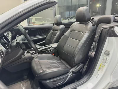 [FORD MUSTANG ECOBOOST 2.3L i4 CONVERTIBLE]-10