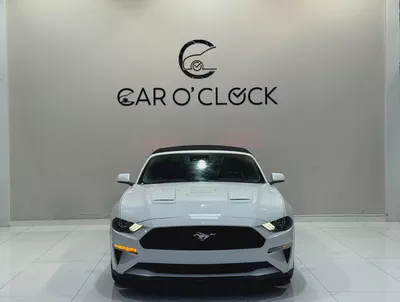 [FORD MUSTANG ECOBOOST 2.3L i4 CONVERTIBLE]-2