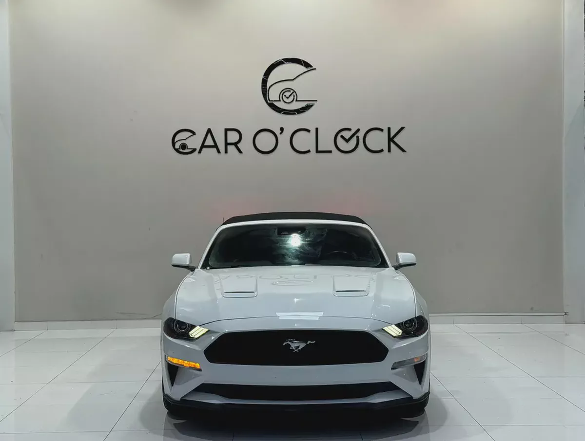 [FORD MUSTANG ECOBOOST 2.3L i4 CONVERTIBLE]-2-2