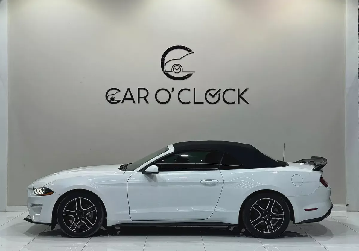 [FORD MUSTANG ECOBOOST 2.3L i4 CONVERTIBLE]-3-3