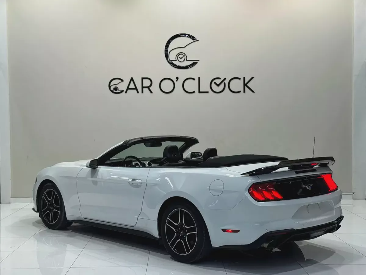 [FORD MUSTANG ECOBOOST 2.3L i4 CONVERTIBLE]-5-5