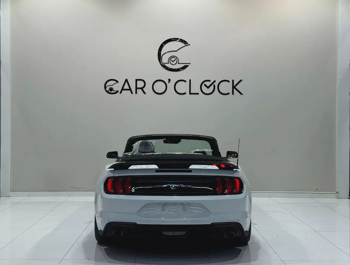[FORD MUSTANG ECOBOOST 2.3L i4 CONVERTIBLE]-7-7