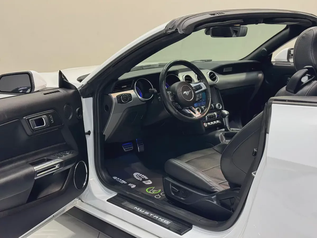 [FORD MUSTANG ECOBOOST 2.3L i4 CONVERTIBLE]-8-8