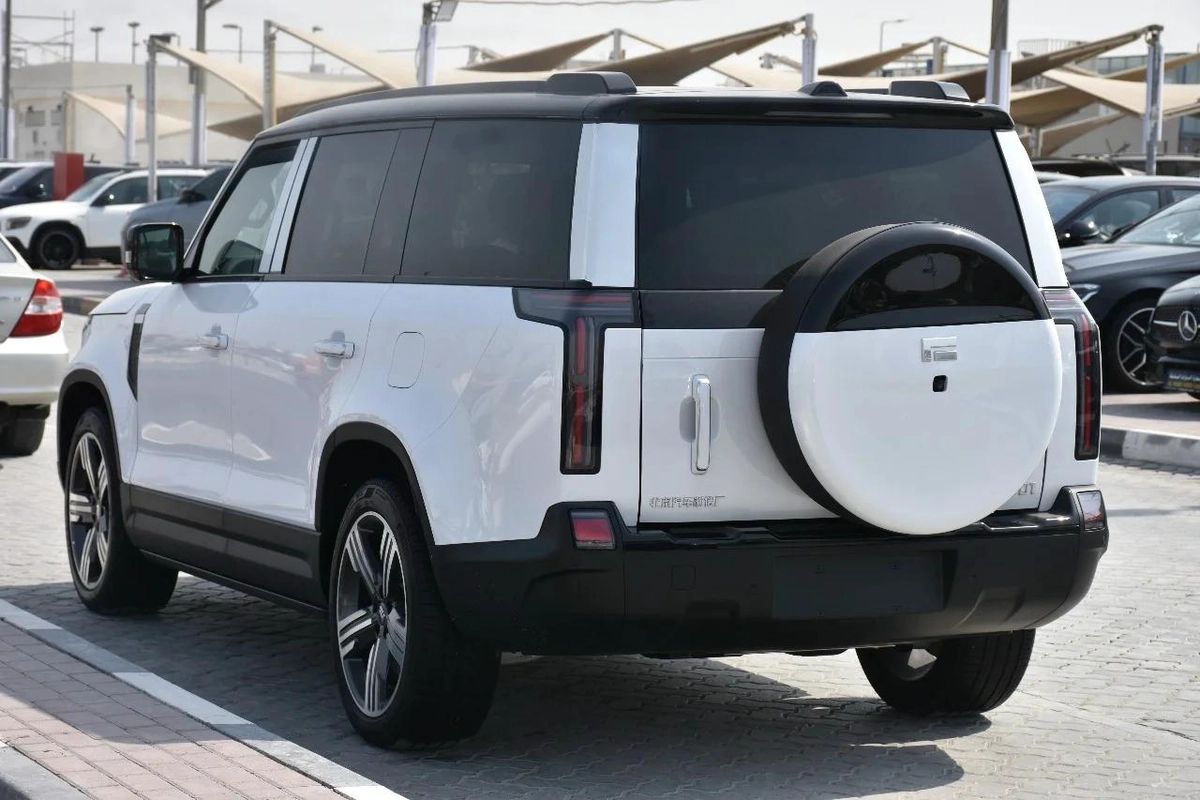 ROX 01 VIP 6 SEATS 2025 | WHITE LIKE-2-2