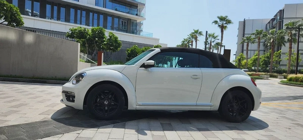 2019 Volkswagen Beetle -2.0L-4 Cyl-Excellent Condition