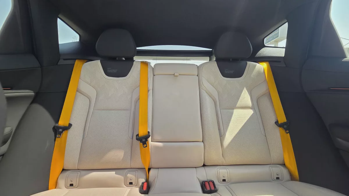 Polestar 3 (Gold)-10-10