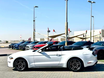 2022 Ford Mustang Ecoboost Convertible - 05660-8