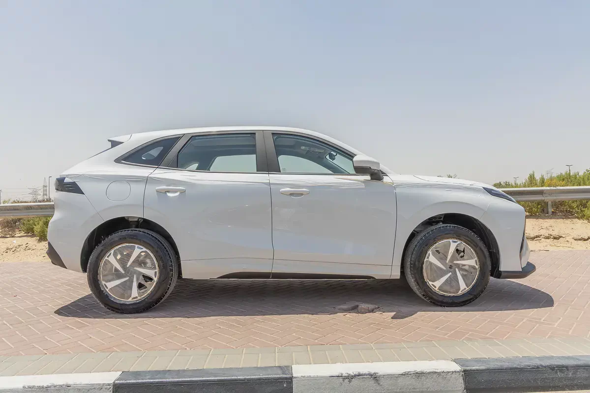 Dong Feng Forthing Friday - Electric - 410km - 2025 (Export)-6-6