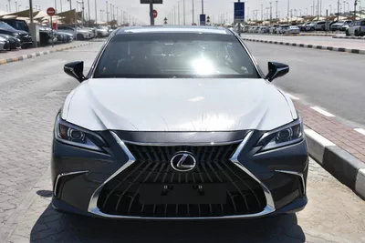 NEW ES250 GCC 2023 | GREY LIKE-1