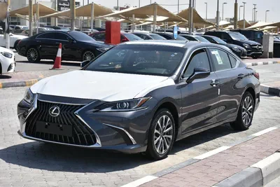 NEW ES250 GCC 2023 | GREY LIKE-9