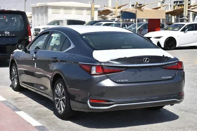 NEW ES250 GCC 2023 | GREY LIKE-3