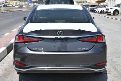 NEW ES250 GCC 2023 | GREY LIKE-4