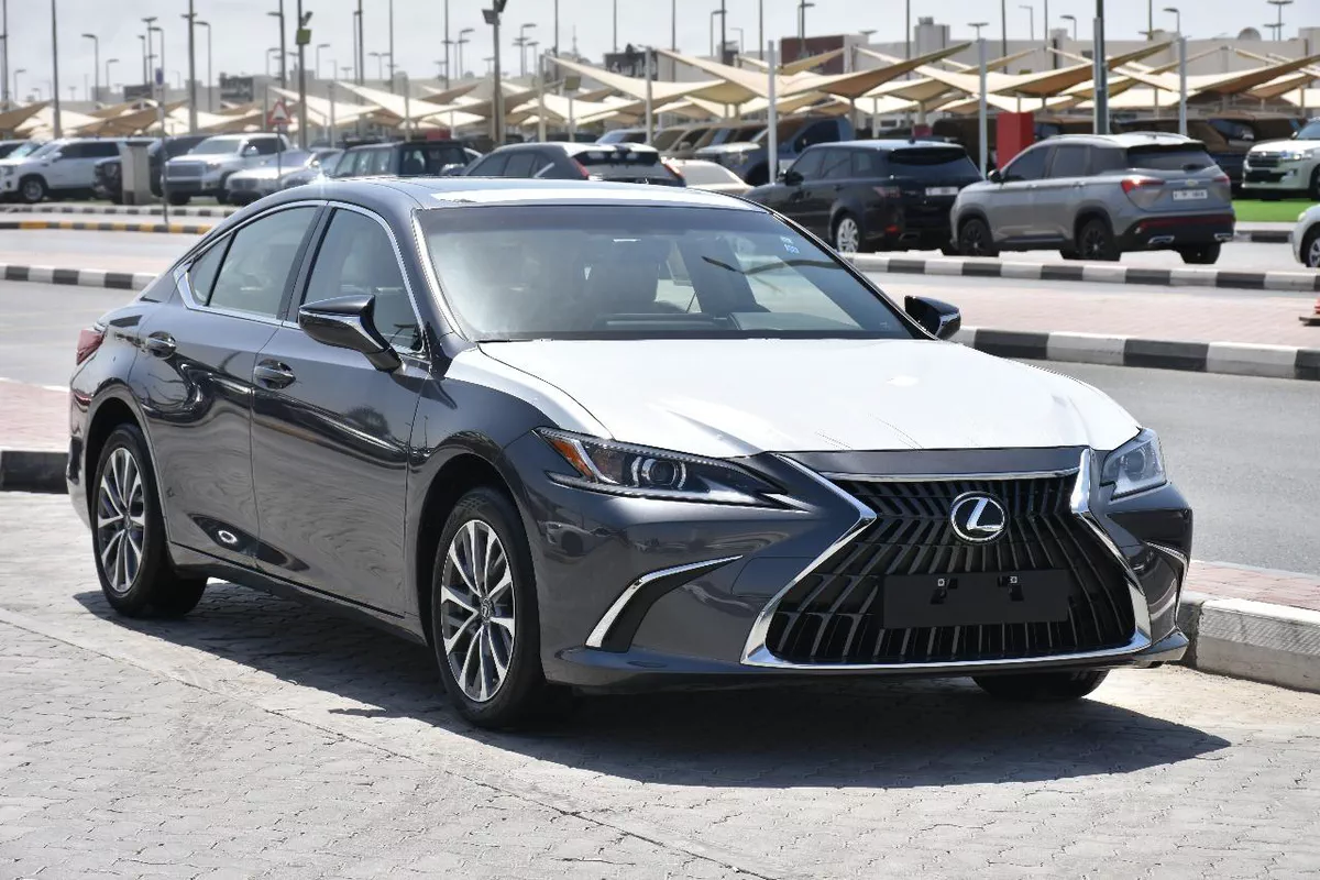 NEW ES250 GCC 2023 | GREY LIKE
