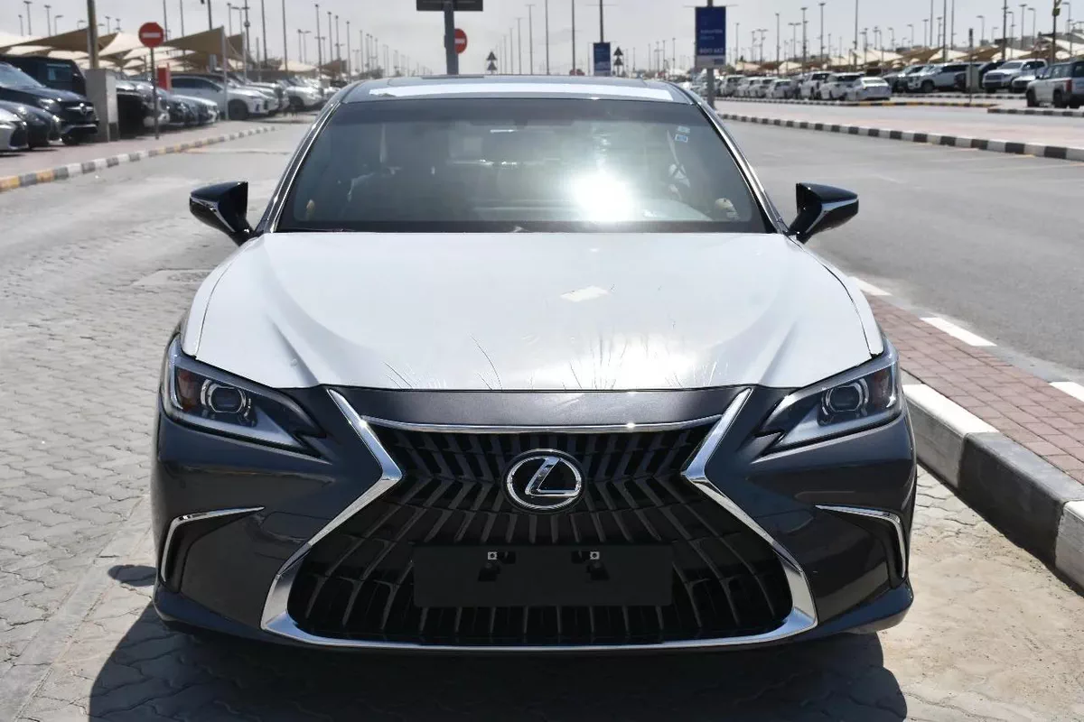 NEW ES250 GCC 2023 | GREY LIKE-1-1