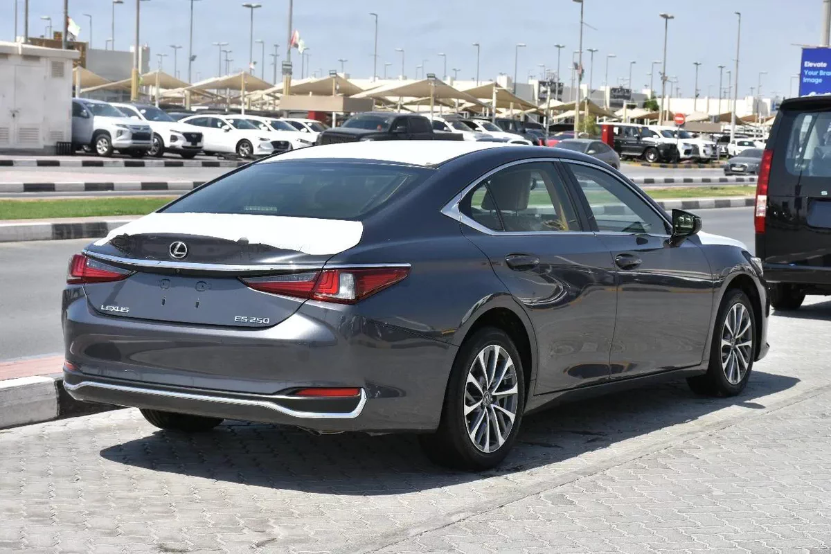 NEW ES250 GCC 2023 | GREY LIKE-10-10