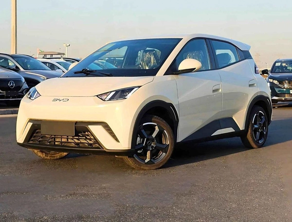 BYD Seagull FLYING EDITION / ELECTRIC / FULL OPTION (CODE # 68075)